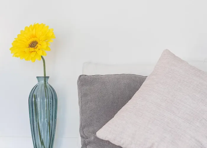 Guestready - Saudade *